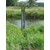 Locatie afbeelding